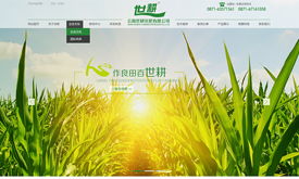 昆明奥远科技 一站式数字解决方案，赋能企业智能转型